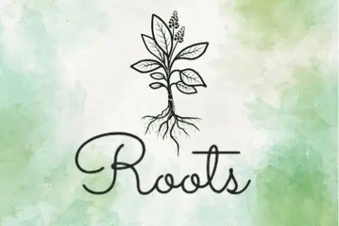 Roots Cafe photo 1