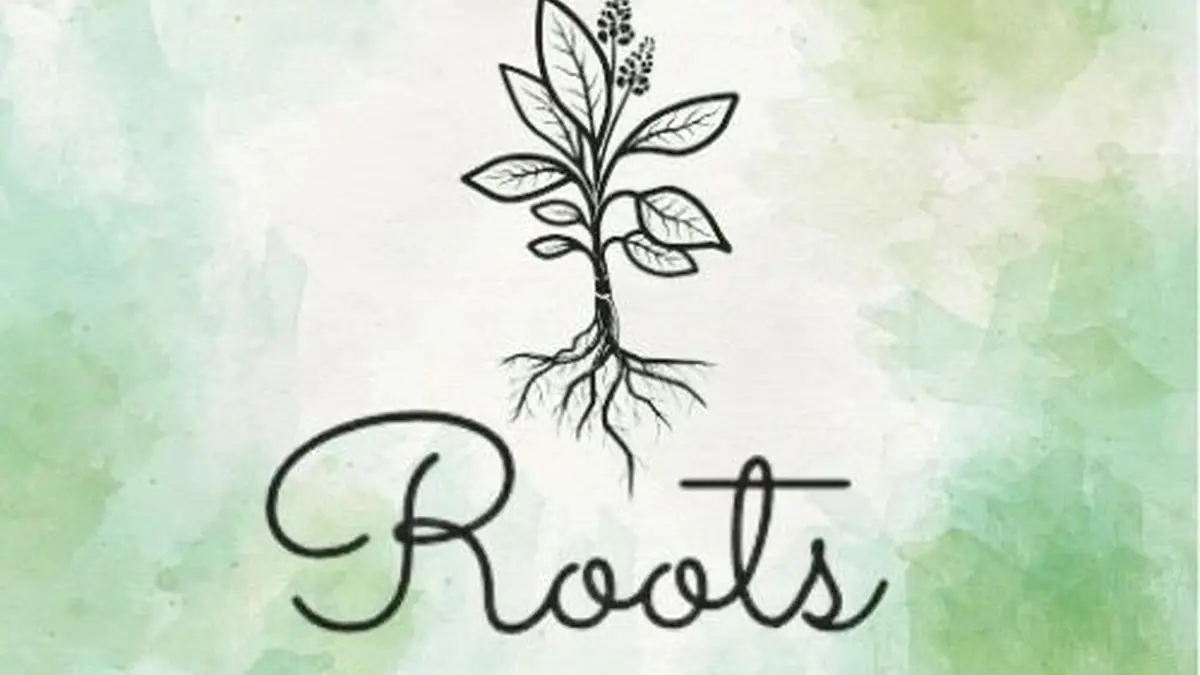 Roots Cafe – gluten-free bakery in Crown, Inverness